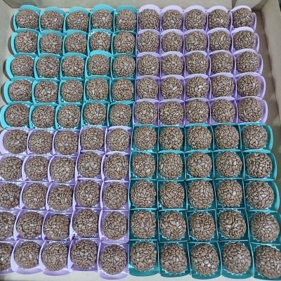Cento de Brigadeiro